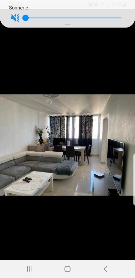 Appartement Laurent Bonnevay Villeurbanne Exterior photo